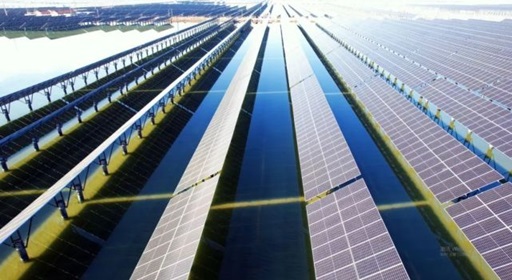 山東?；胶忭?xiàng)目